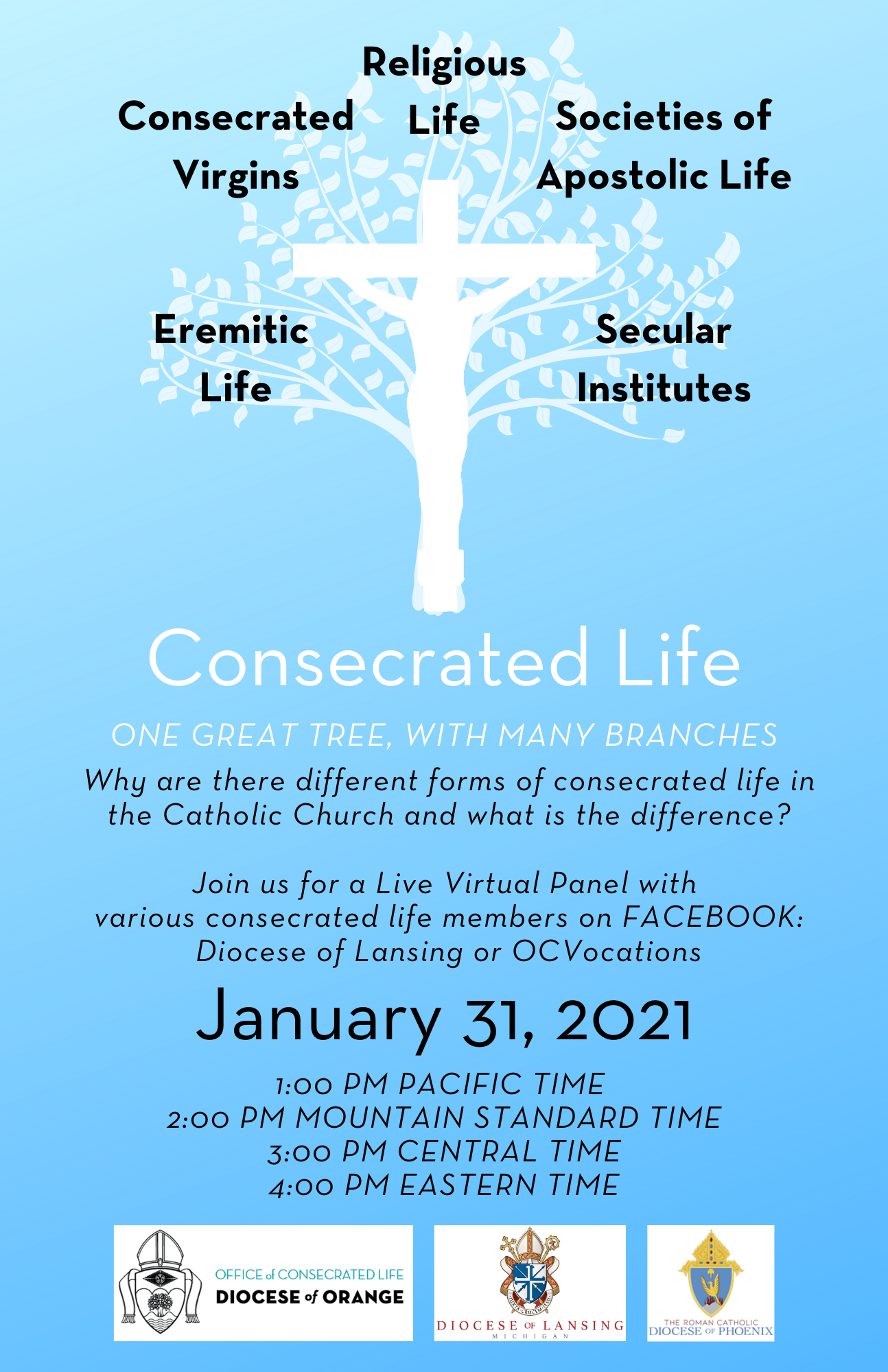 Virtual Panel Understanding Various Forms Of Consecrated Life 