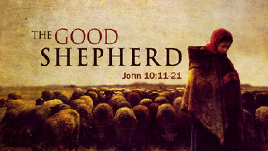 Watch: A Message For Good Shepherd Sunday | Diocese Of Lansing