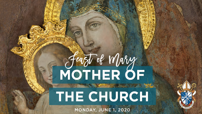 Mother Mary Feast Discount Outlet Save 45 Jlcatj gob mx Mother Mary Feast Discount Outlet Save 45 Jlcatj gob mx