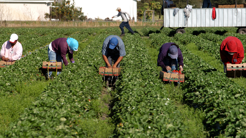 Migrant workers