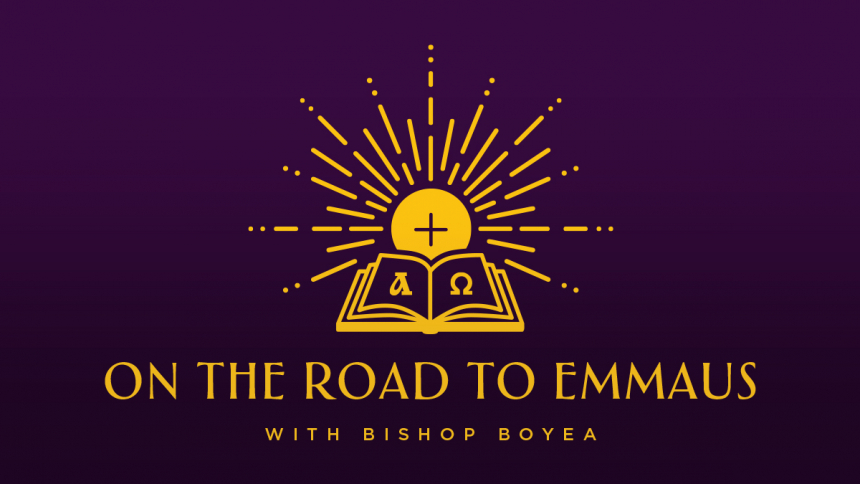 A Request from Bishop Boyea: Stories of the Holy Eucharist and You! 