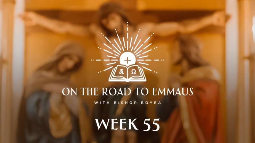 RTE Week 55