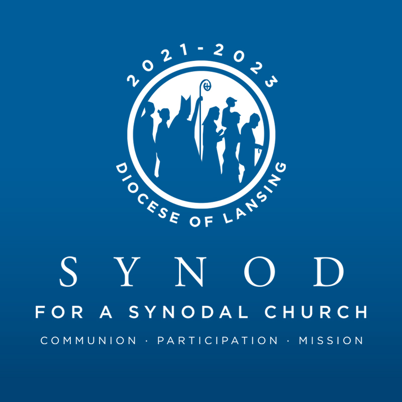 Synod information link