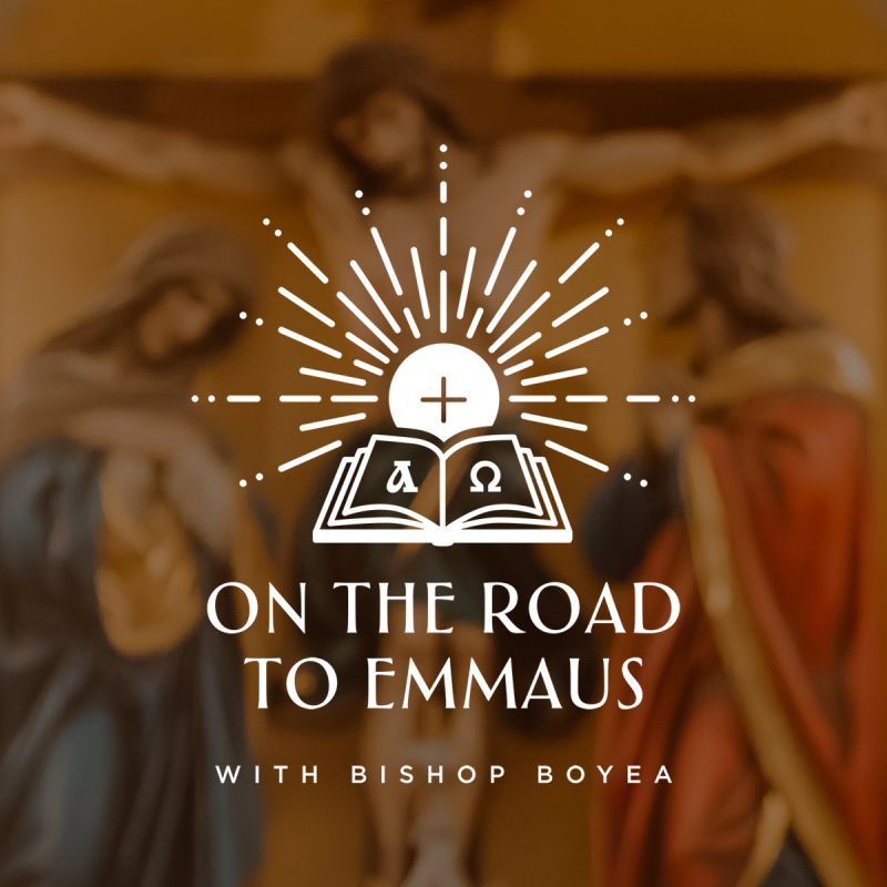 Open configuration options Open configuration options On the Road to Emmaus with Bishop Boyea