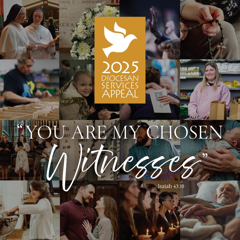 Diocesan Services Appeal