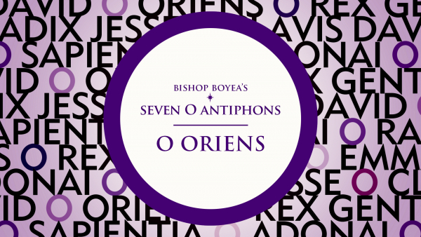 Antiphons 5