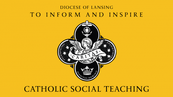 Catholic Social Teaching 