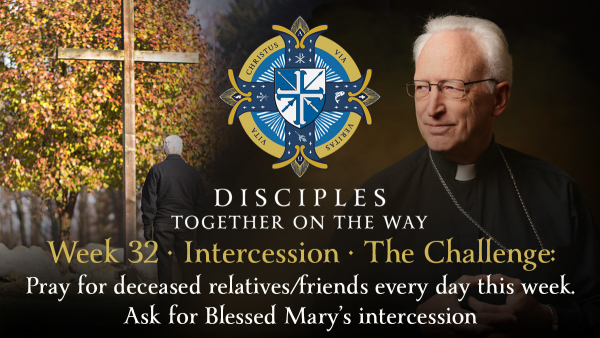 Pray for deceased relatives/friends every day this week. Ask for Blessed Mary’s intercession