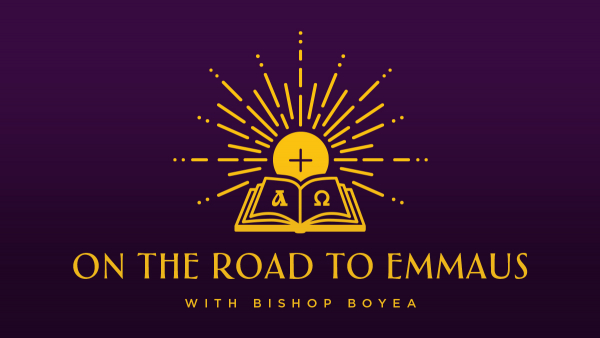 A Request from Bishop Boyea: Stories of the Holy Eucharist and You! 