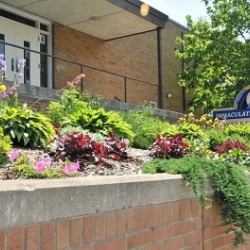 IHM - street view