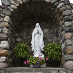 St. Patrick - Brighton 2