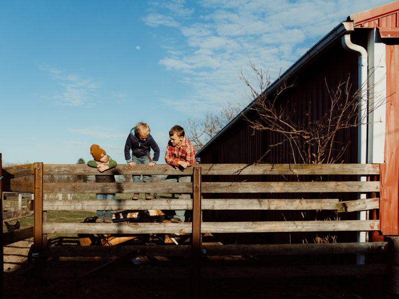 Two Sparrows Farm