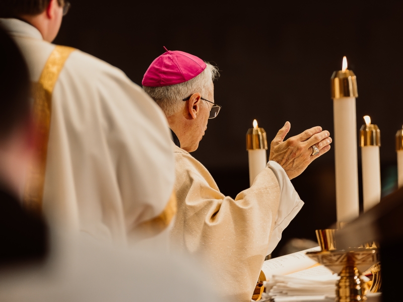 Diaconate Ordinations 2024