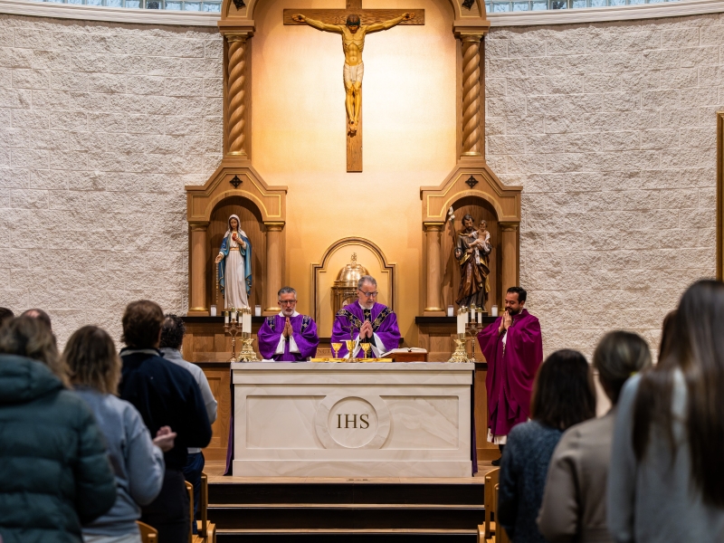 New History Curriculum