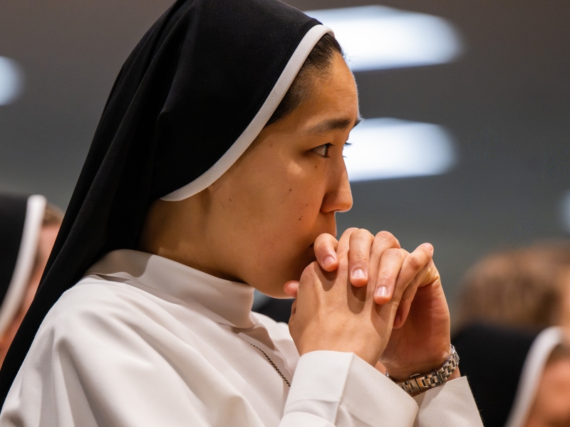 New History Curriculum