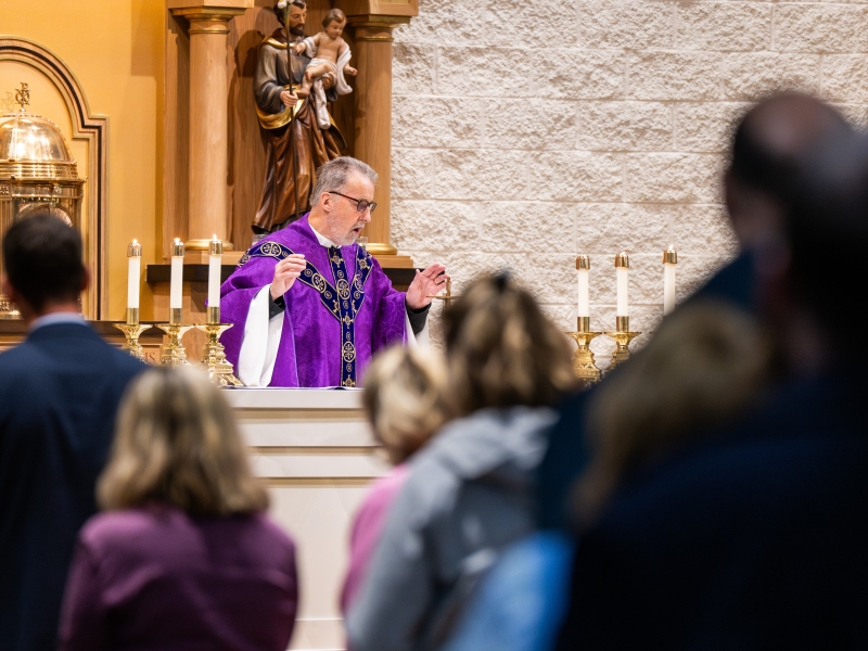 New History Curriculum